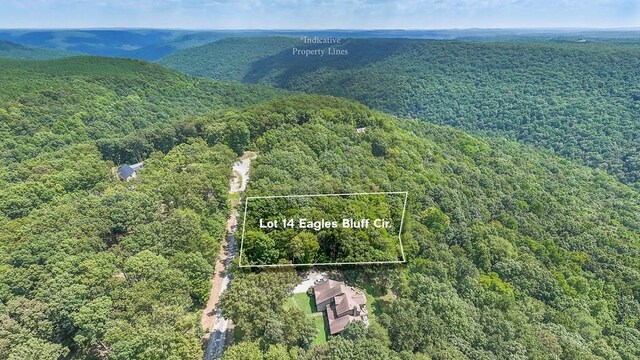 LOT14 Eagles Bluff Cir, Spencer TN, 38585 land for sale