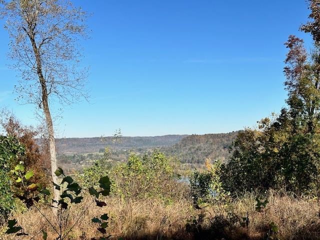 00 Shelley Rd, Gainesboro TN, 38562 land for sale