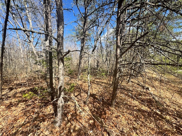 Listing photo 3 for 0 Divide Trl, Monterey TN 38574