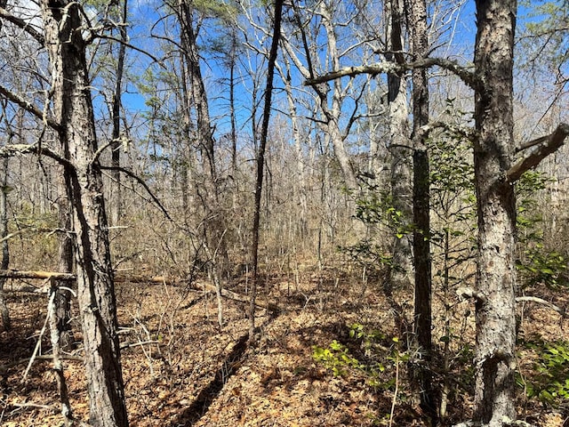 0 Divide Trl, Monterey TN, 38574 land for sale