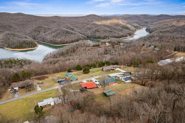 birds eye view of property featuring a water and mountain view