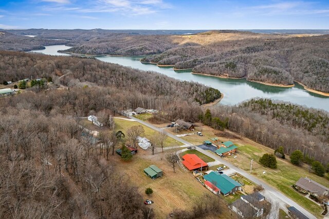 bird's eye view with a water view and a wooded view