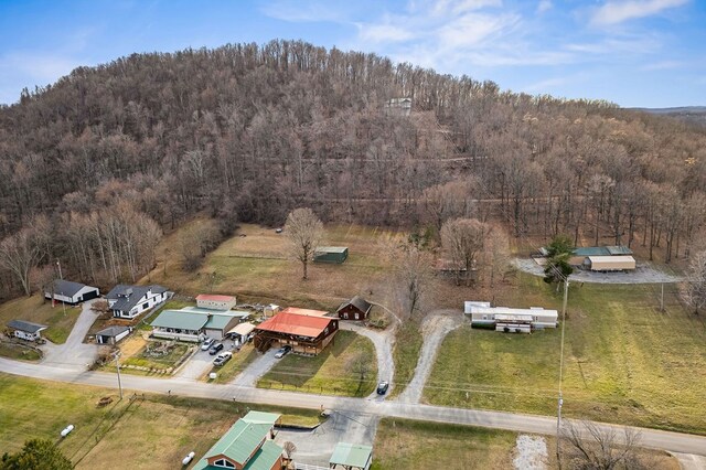 aerial view with a forest view