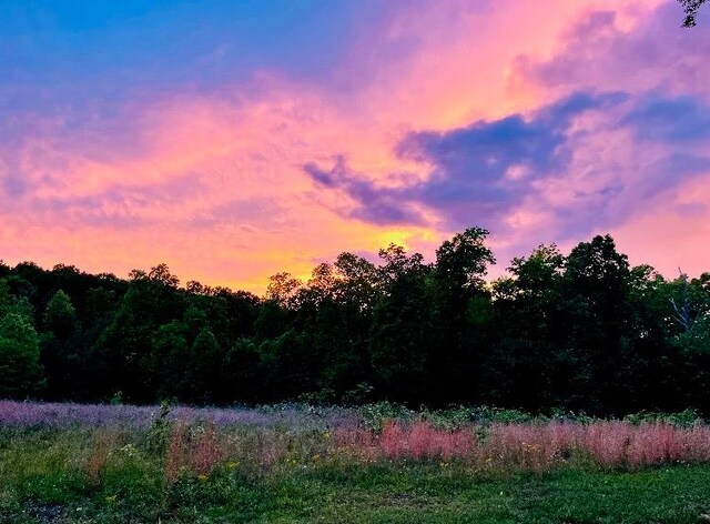 view of nature at dusk