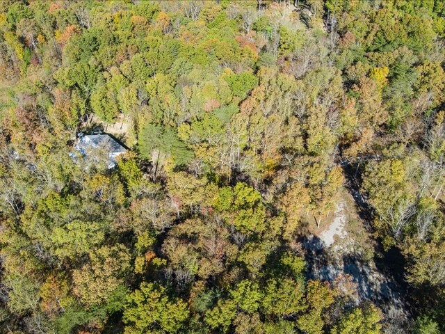 aerial view featuring a view of trees