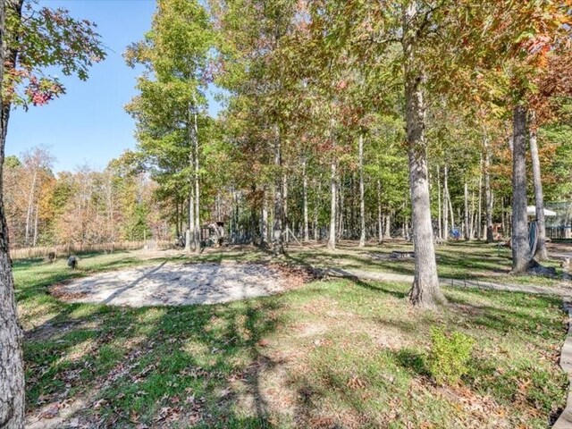 view of yard featuring a wooded view