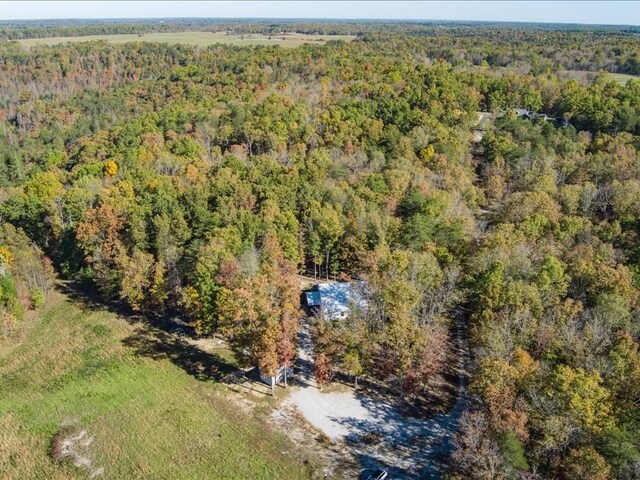 bird's eye view with a view of trees