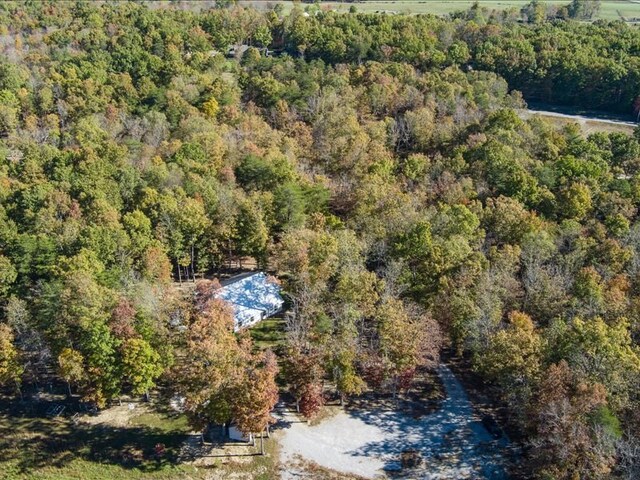 bird's eye view with a view of trees