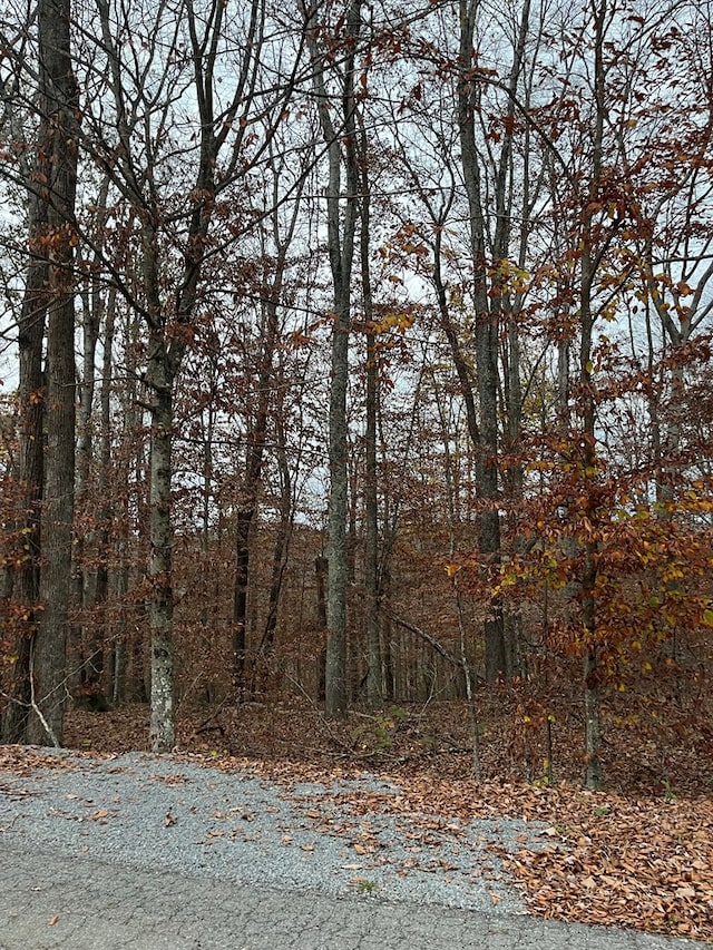 Listing photo 2 for LOT26 Peach Tree Ln, Russell Springs KY 42642