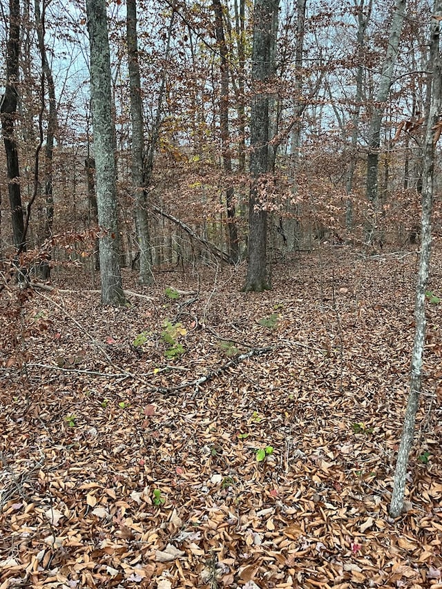 Listing photo 3 for LOT26 Peach Tree Ln, Russell Springs KY 42642