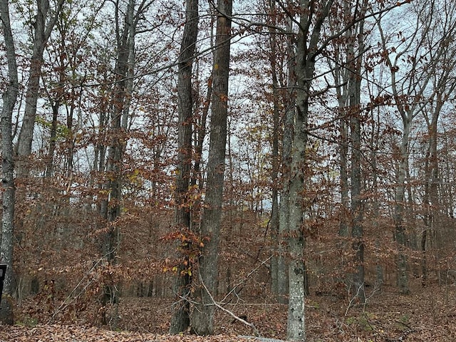 LOT26 Peach Tree Ln, Russell Springs KY, 42642 land for sale