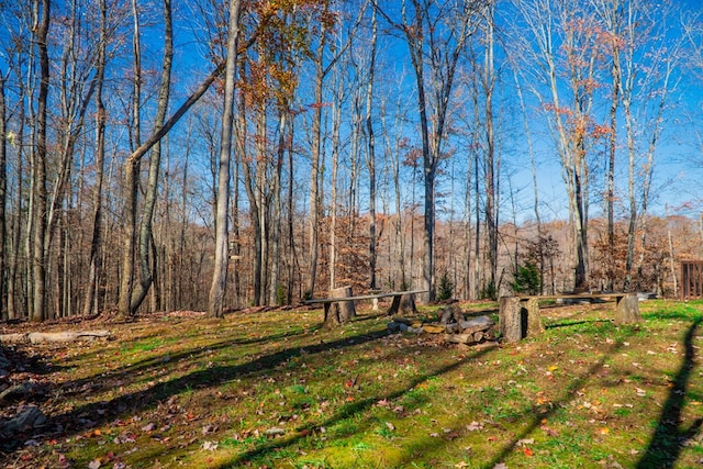 view of yard featuring a view of trees