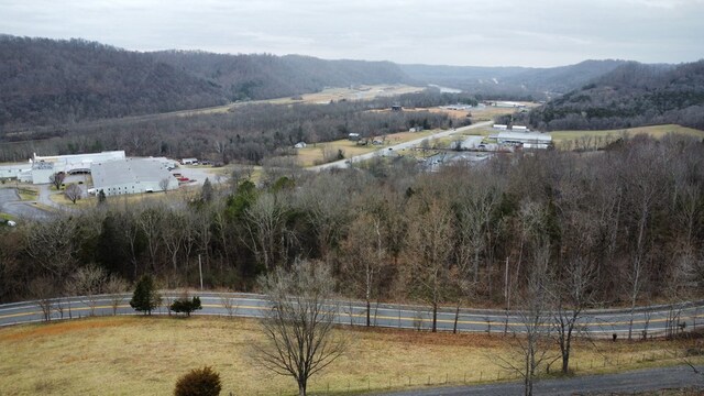 view of mountain feature with a forest view and a rural view