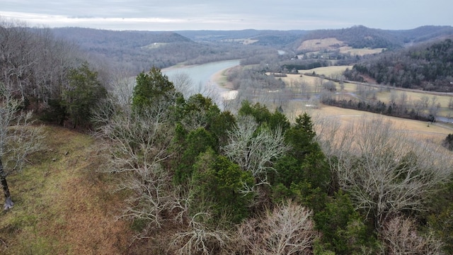 bird's eye view with a view of trees and a water and mountain view