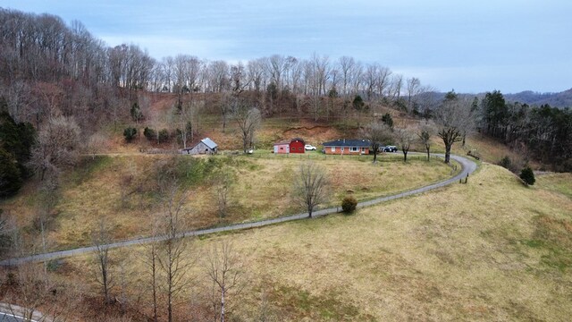 view of yard with a rural view