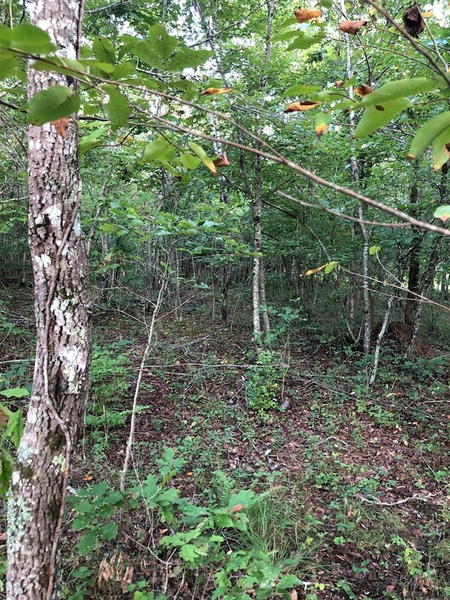 39 Luka Ln, Crossville TN, 38572 land for sale