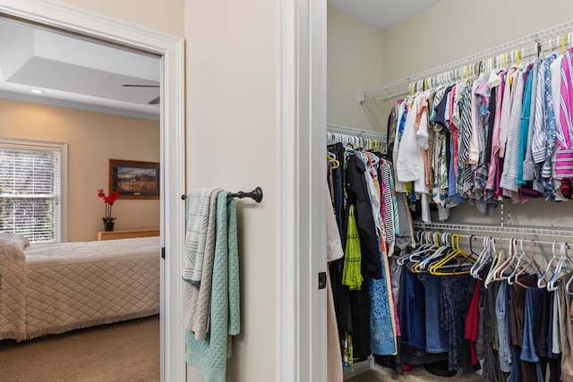 walk in closet with carpet floors