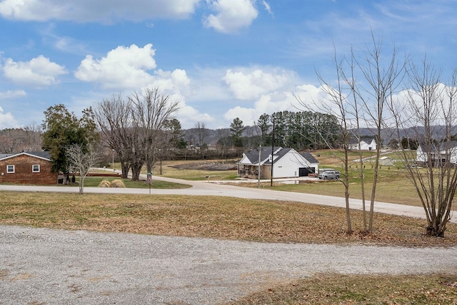 view of yard featuring a residential view and driveway