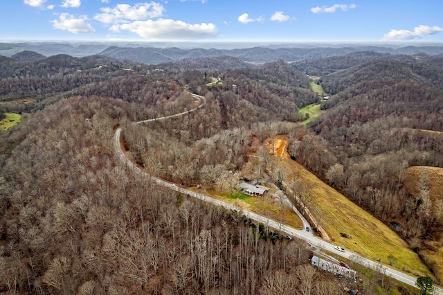 birds eye view of property with a mountain view