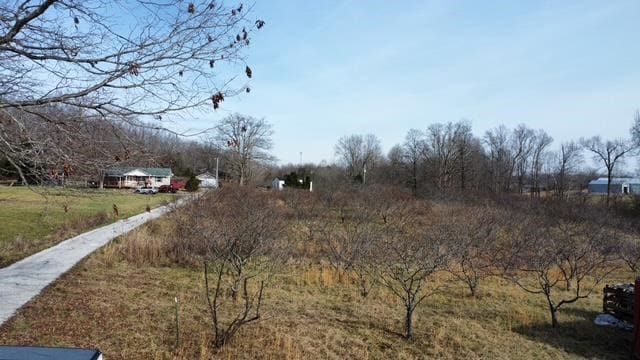 view of road with a rural view