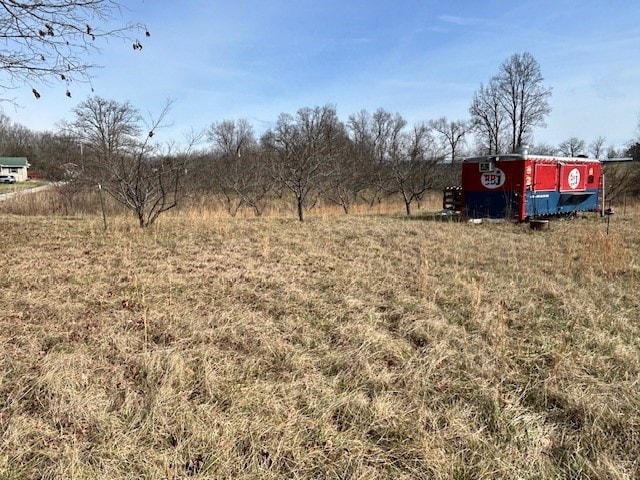 view of yard with a rural view