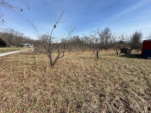 view of yard with a rural view