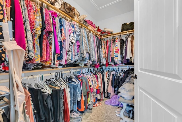 spacious closet with carpet floors