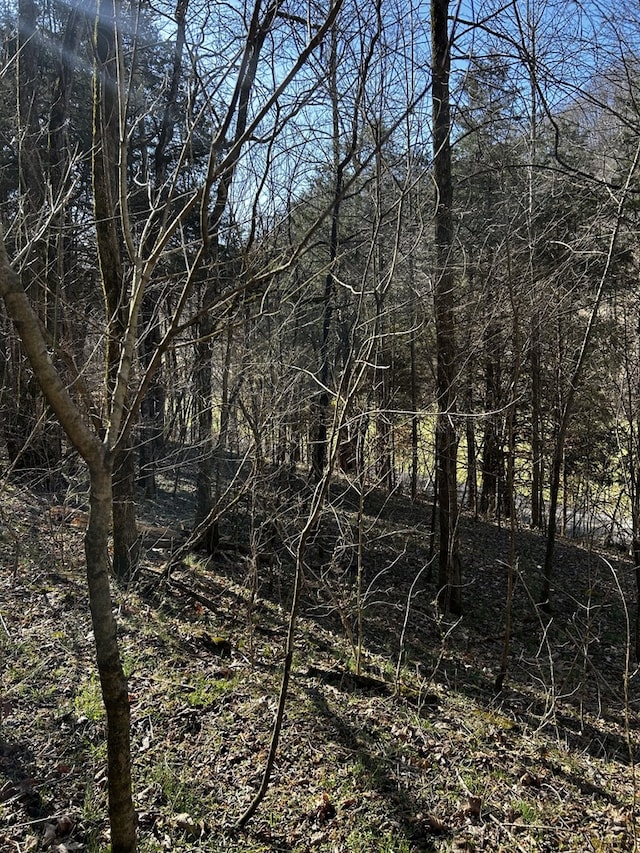 Listing photo 3 for 0 Sycamore Valley Rd, Pleasant Shade TN 37145