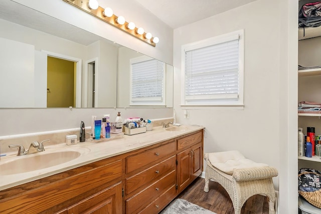 full bath featuring wood finished floors, a sink, and double vanity