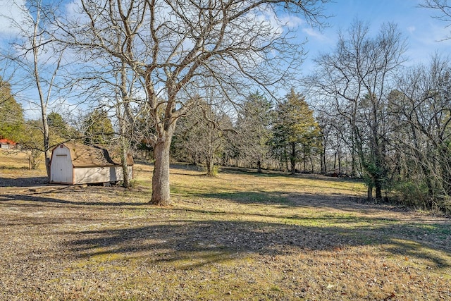 view of yard featuring an outbuilding and a storage unit