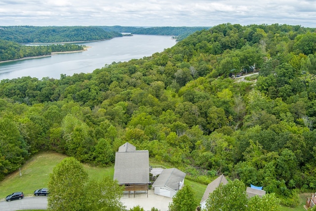 bird's eye view featuring a water view and a wooded view