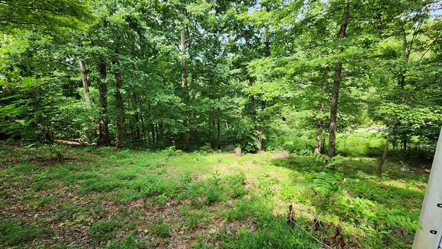 view of landscape featuring a view of trees