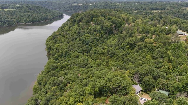 aerial view with a water view and a view of trees