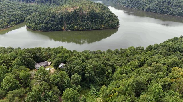 birds eye view of property featuring a water view and a forest view