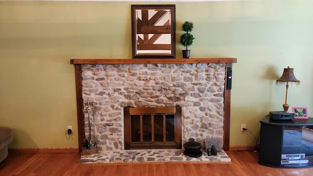 details featuring baseboards, wood finished floors, and a stone fireplace