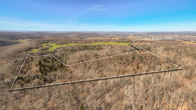 38ACRES Cooley Ridge Rd, Sparta TN, 38583 land for sale