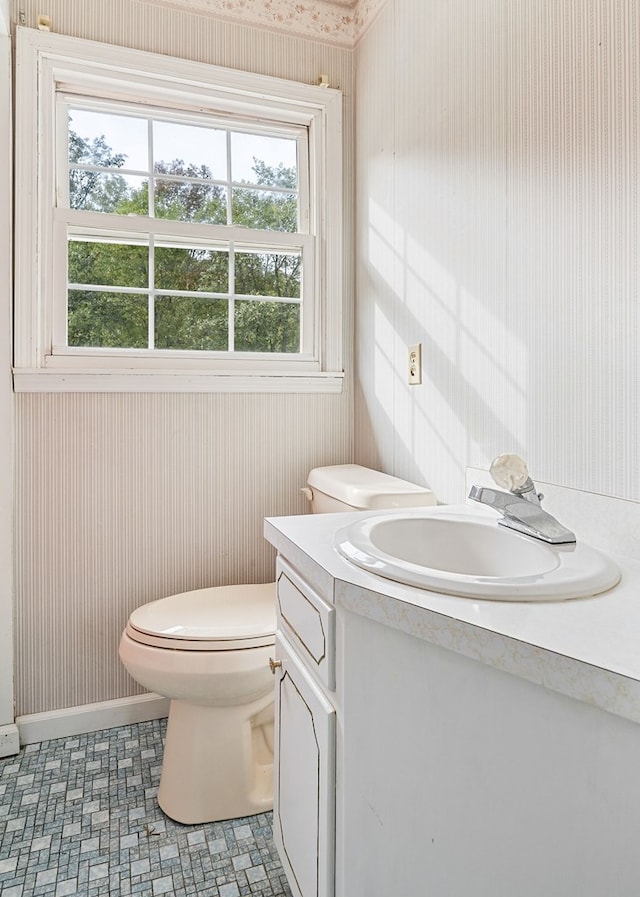 bathroom with toilet and vanity