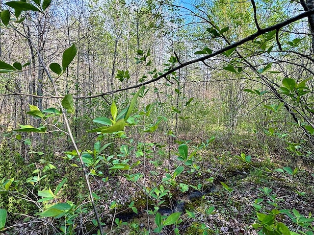 Listing photo 3 for LOT83 Parkstown Rd, Wilder TN 38589