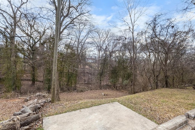 view of yard with a patio area