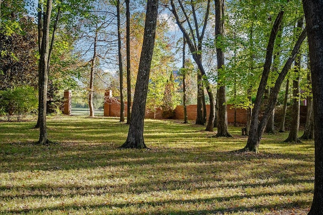 view of yard with fence