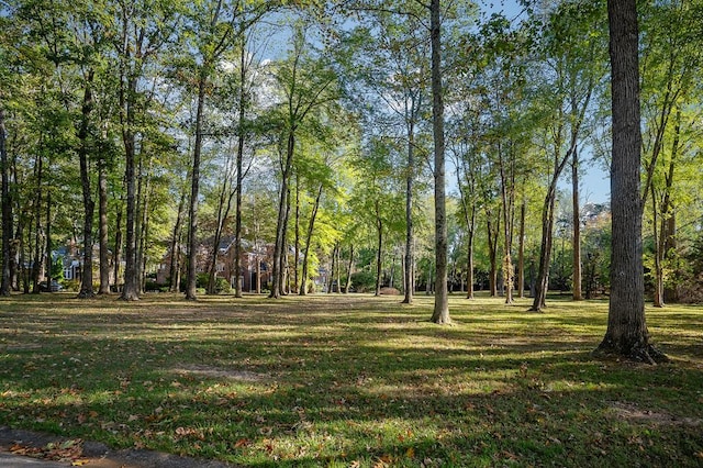 view of home's community with a yard