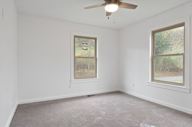 empty room featuring a wealth of natural light, baseboards, and carpet flooring