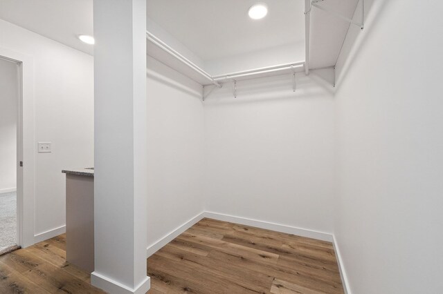 spacious closet featuring wood finished floors