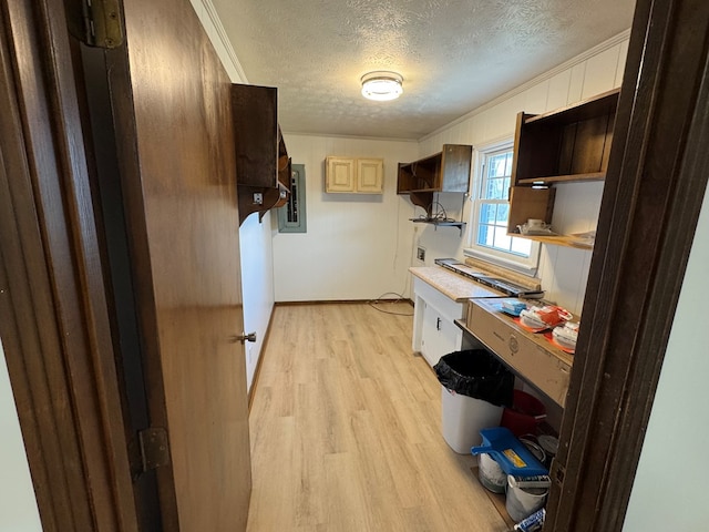 kitchen featuring light wood-style flooring, open shelves, electric panel, a textured ceiling, and light countertops