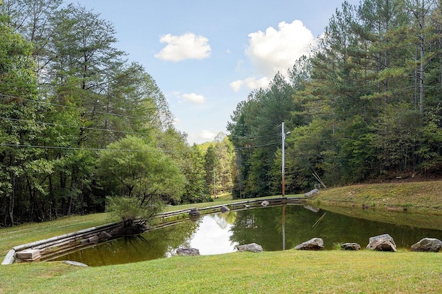 water view with a view of trees