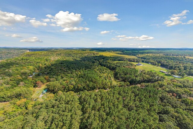 bird's eye view featuring a wooded view