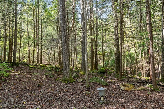 view of nature featuring a wooded view