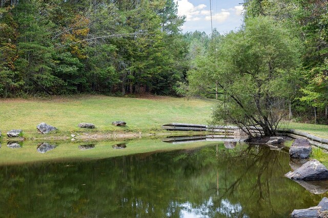 view of yard with a water view and a view of trees