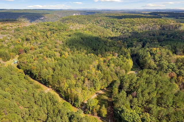 drone / aerial view with a wooded view