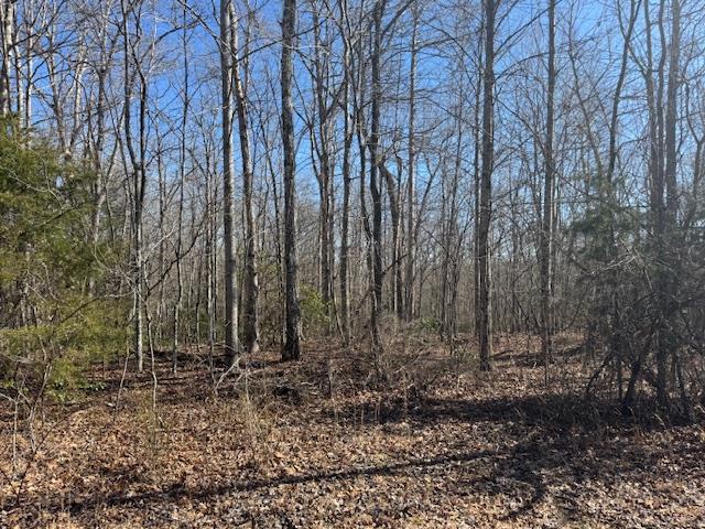 LOT5 Haven Ln, Crawford TN, 38554 land for sale